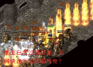 重生白虎沙雕动画:如何快速升级称霸传奇? 重生白虎沙雕动画:如何快速升级称霸传奇?