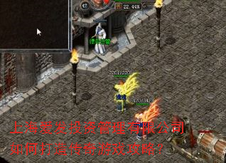 上海爱发投资管理有限公司如何打造传奇游戏攻略? 上海爱发投资管理有限公司如何打造传奇游戏攻略?