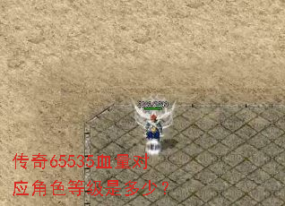 ����65535Ѫ����Ӧ��ɫ�ȼ��Ƕ��٣�