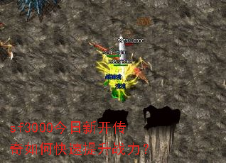 sf3000�����¿�������ο�������ս����