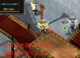如何快速提升无极私服角色等级与装备? 如何快速提升无极私服角色等级与装备?
