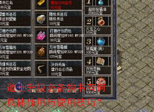 道士升级必备狗书有何具体作用与使用技巧? 道士升级必备狗书有何具体作用与使用技巧?
