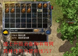 道士升级必备狗书有何具体作用与使用技巧? 道士升级必备狗书有何具体作用与使用技巧?