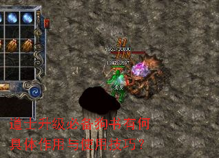 道士升级必备狗书有何具体作用与使用技巧? 道士升级必备狗书有何具体作用与使用技巧?