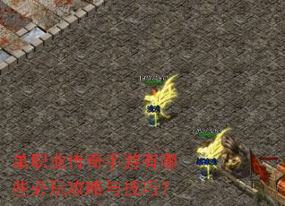 ��ְҵ������������Щ���湥���뼼�ɣ�