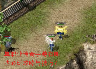 ��ְҵ������������Щ���湥���뼼�ɣ�