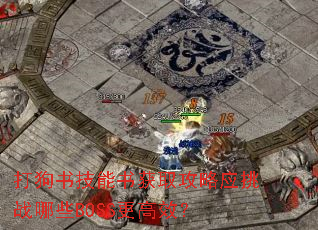 ���鼼�����ȡ����Ӧ��ս��ЩBOSS����Ч��
