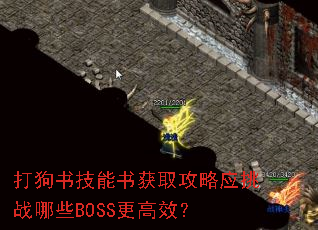���鼼�����ȡ����Ӧ��ս��ЩBOSS����Ч��