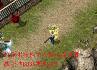 ���鼼�����ȡ����Ӧ��ս��ЩBOSS����Ч��