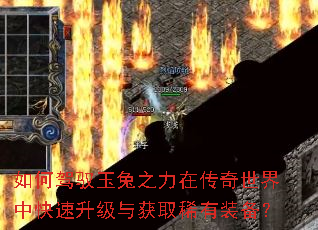 ��μ�Ԧ����֮���ڴ��������п����������ȡϡ��װ����