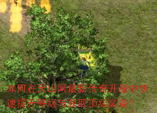 如何在天山网最新传奇开服中快速提升等级与获取顶级装备? 如何在天山网最新传奇开服中快速提升等级与获取顶级装备?