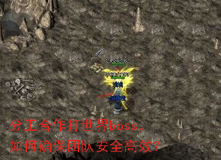 分工合作打世界boss,如何确保团队安全高效? 分工合作打世界boss,如何确保团队安全高效?