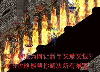 ��ʦְҵΪ���������ְ��ֺޣ���ݹ����ܰ�������������