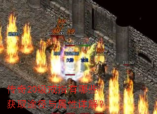 ����20����ָ����Щ��ȡ;����������⣿