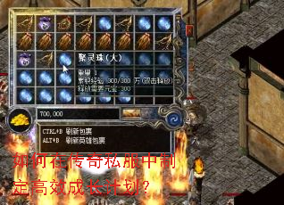 如何在传奇私服中制定高效成长计划? 如何在传奇私服中制定高效成长计划?