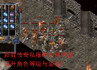 �ʺ紫��˽������ο���������ɫ�ȼ���װ����