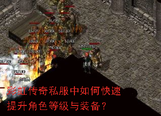 �ʺ紫��˽������ο���������ɫ�ȼ���װ����