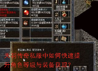 天羽传奇私服中如何快速提升角色等级与装备获取? 天羽传奇私服中如何快速提升角色等级与装备获取?
